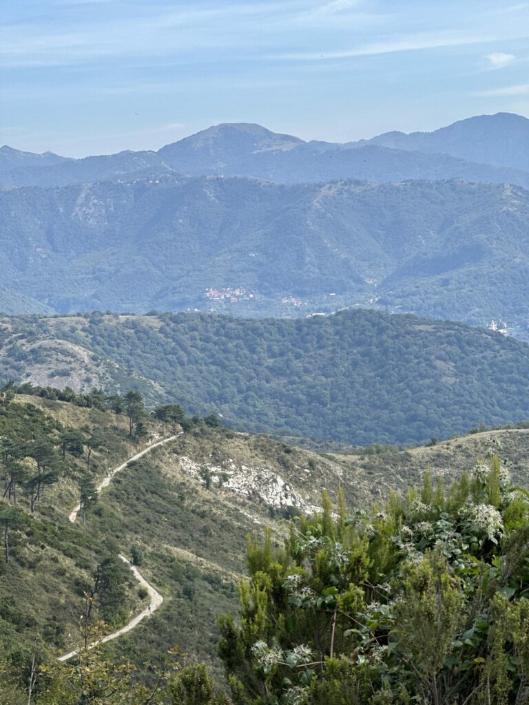 Parco delle Mura, team building CMA CGM - WildSteps