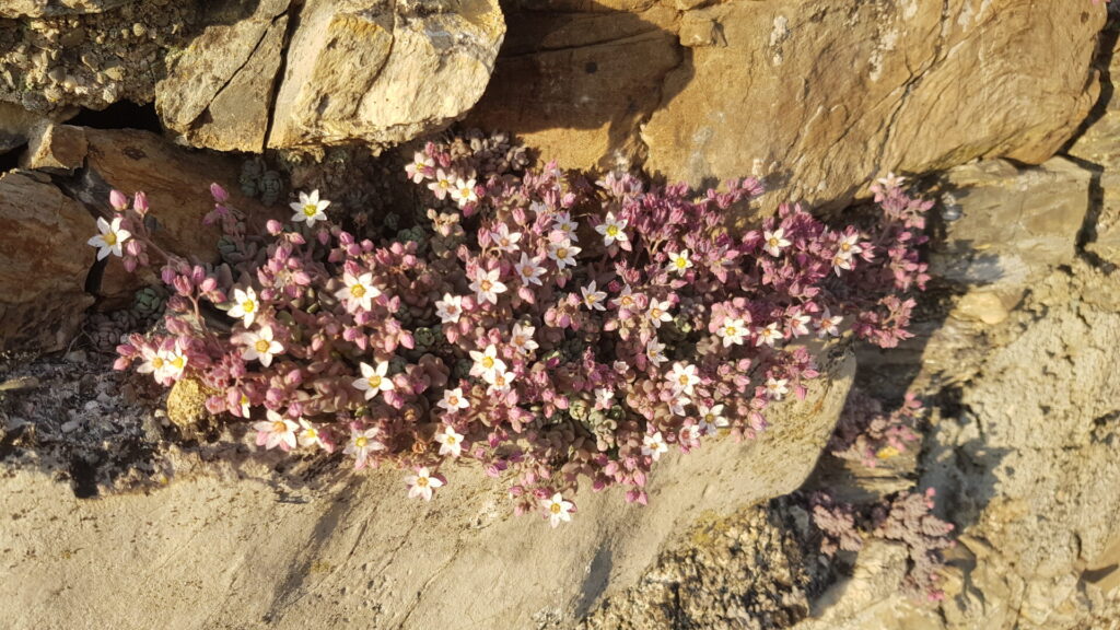 team building - crescita economica