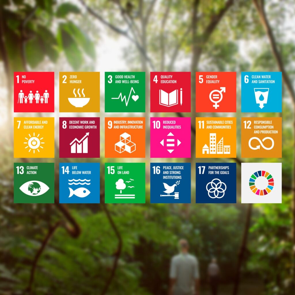 SDG: obiettivi di sviluppo sostenibile