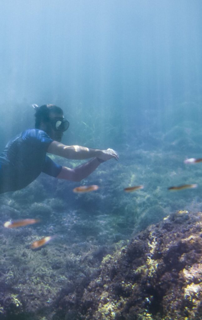 snorkeling, water games, team building