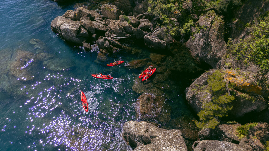 natura, uomo , benessere