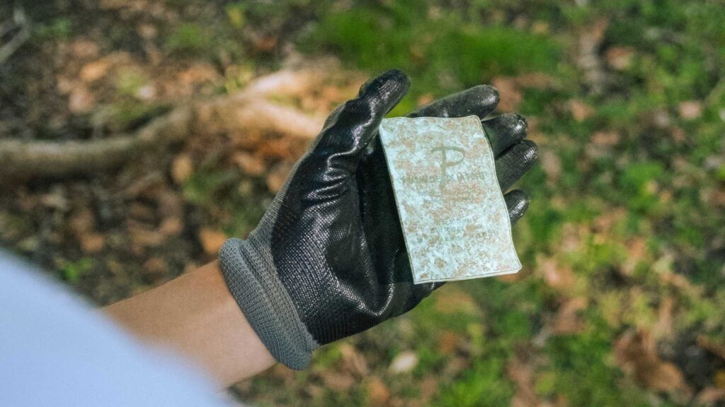 Impatto ambientale aziende