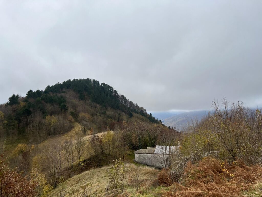 foliage autunnale, imparare camminando