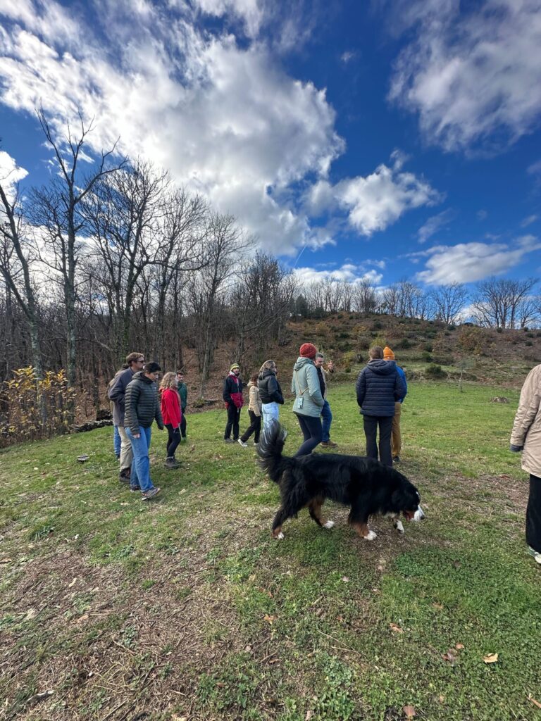 pausa attiva: walking meeting