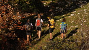 team building primavera