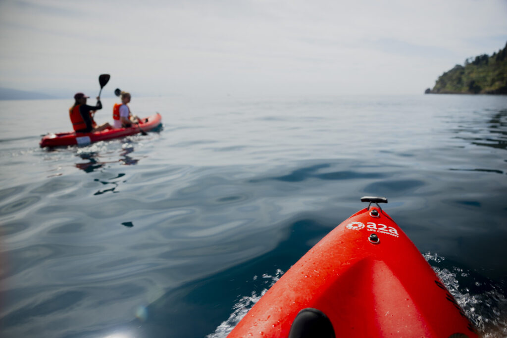 kayak primavera