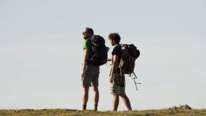 il contatto con la natura migliora lo stress da lavoro in modo quasi istantaneo