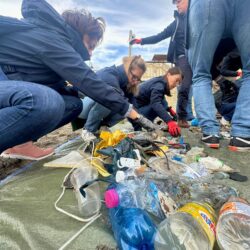 Clean up spiagge per team building in natura