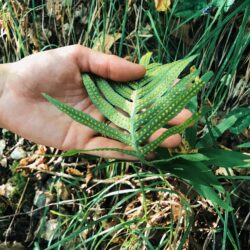 team building outdoor