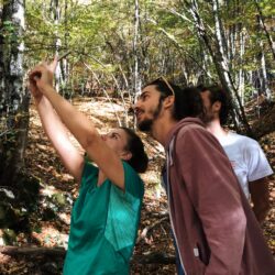 forest bathing, team building outdoor, benessere mentale