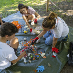 sostenibilità ambientale e sociale