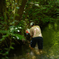 team building aziendale outdoor, trekking