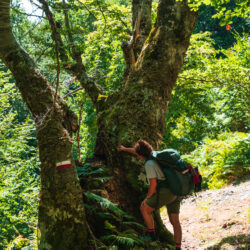 team building outdoor