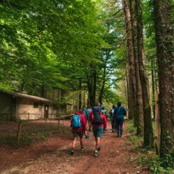 team building outdoor trekking,