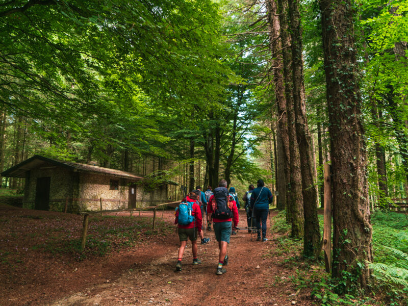 Retreat in natura, attività walkshop