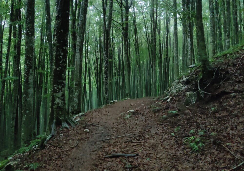 Orienteering Lago Laceno