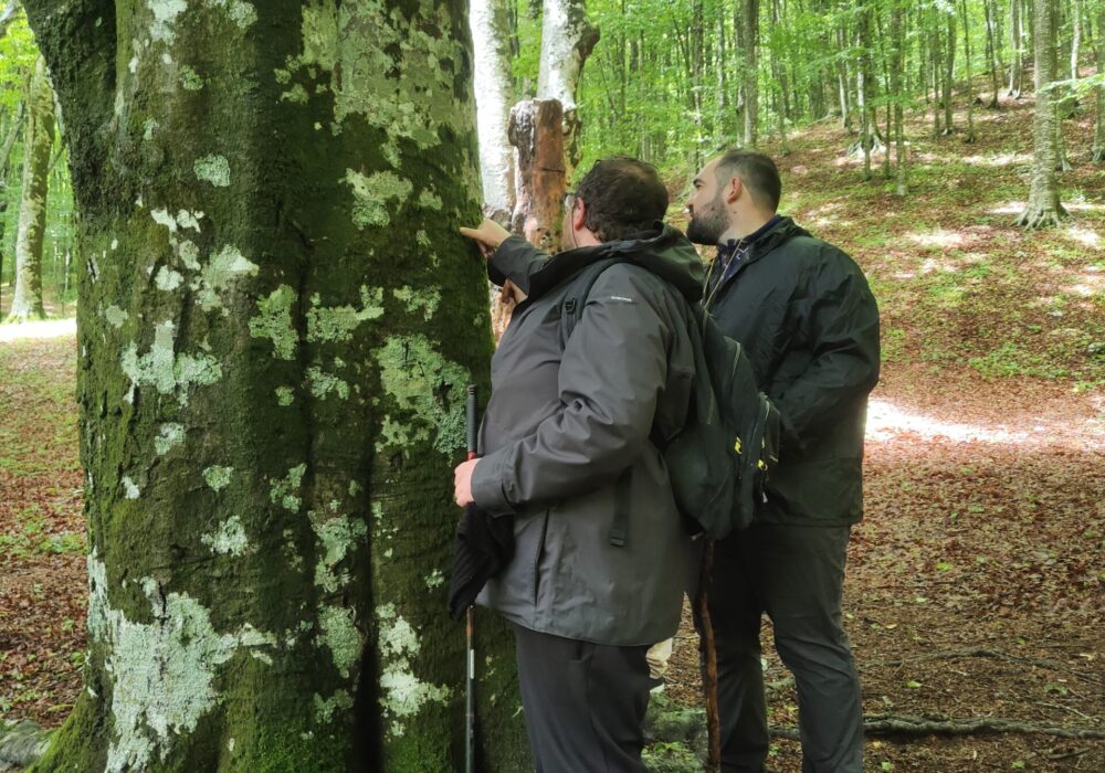 Orienteering Lago Laceno