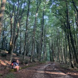 team building in natura, walkshop