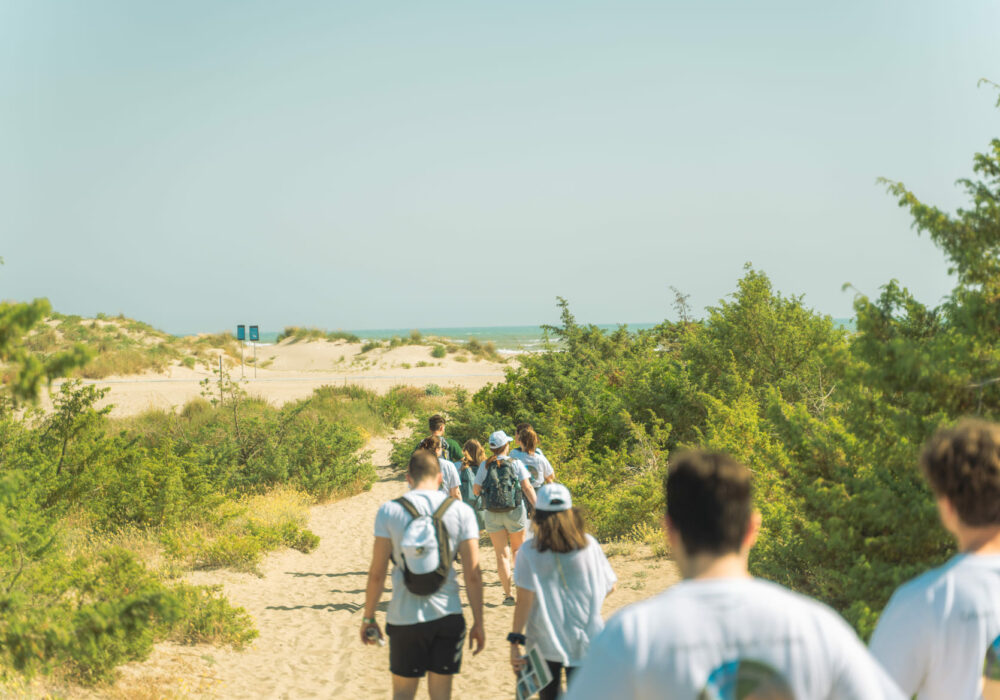 Team building aziendale - benefici per le aziende di un team building outdoor con WildSteps