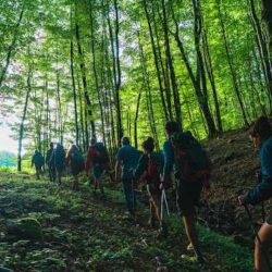 team building outdoor